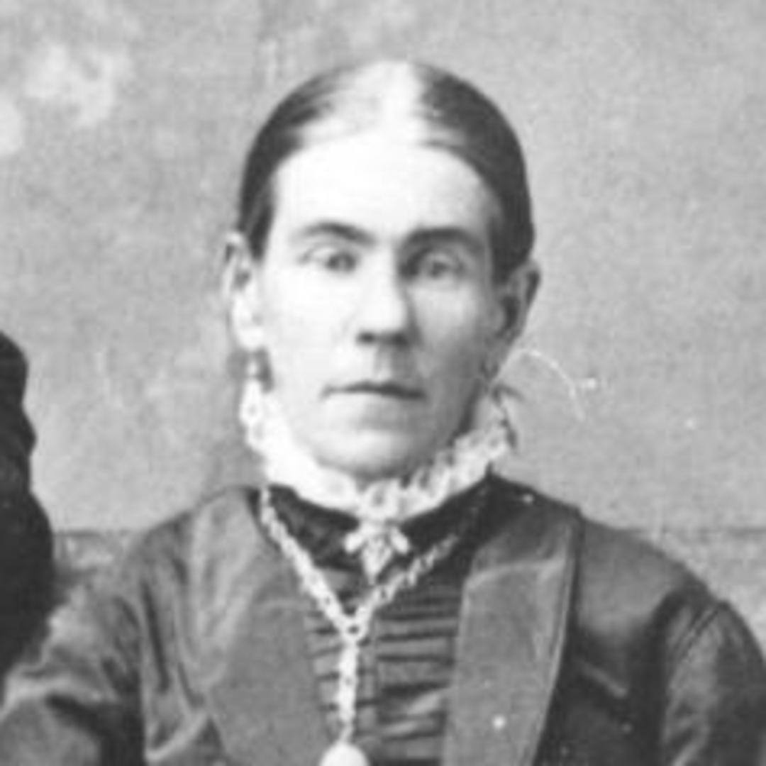 Marietta Wilson (1837 - 1907) Profile